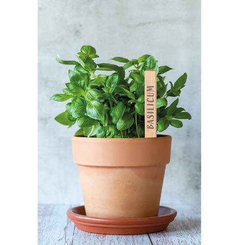 Cuilliere en bois - 4