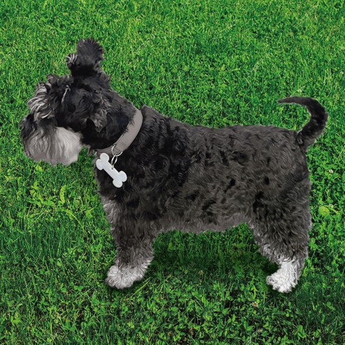 Réflecteur souple « os » - 3