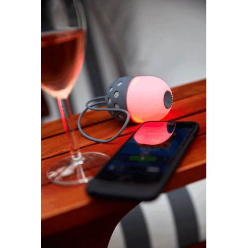 Enceinte sans fil FIREFLY - 9