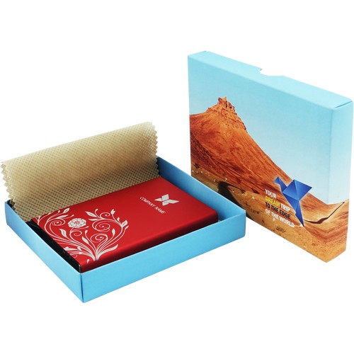 Box  (24x16,5x2,8cm)