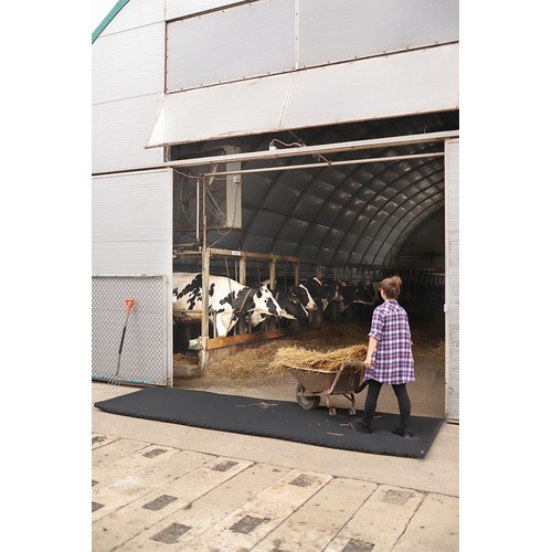 Transit disinfection mat 120x600x4cm