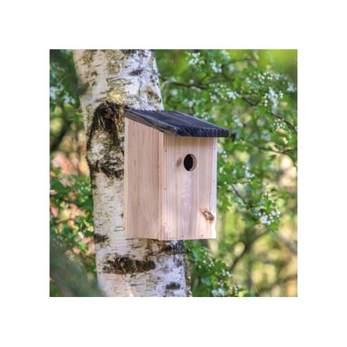 Nichoir rustique - 6