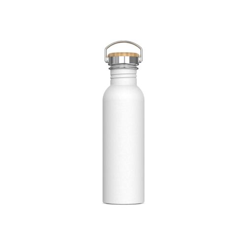 Bouteille à eau Ashton 750ml - 2