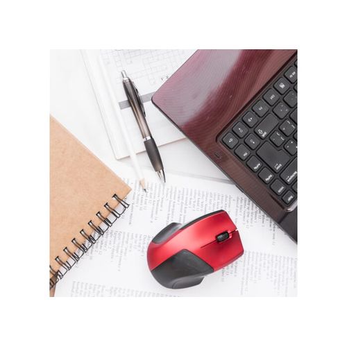 Stylo Hawaï transparent - 4