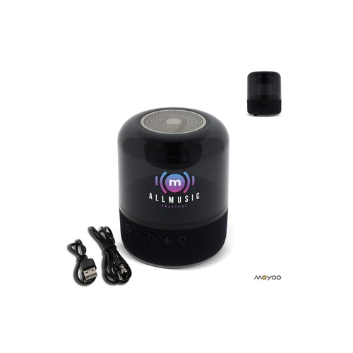 SP101 | Moyoo Smokey Dome speaker personnalisé