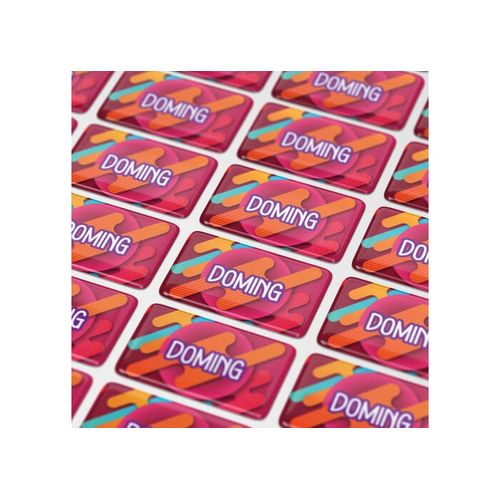 Doming Rectangle 50x20 mm - 1