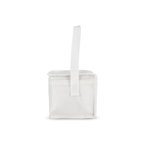 R-PET 6 Sac isotherme non tissé 20x 13 x 12.5cm 75g/m² - 6