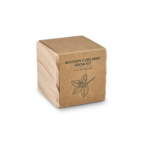 Ensemble de jardinières en bois FSC – Menthe - 2