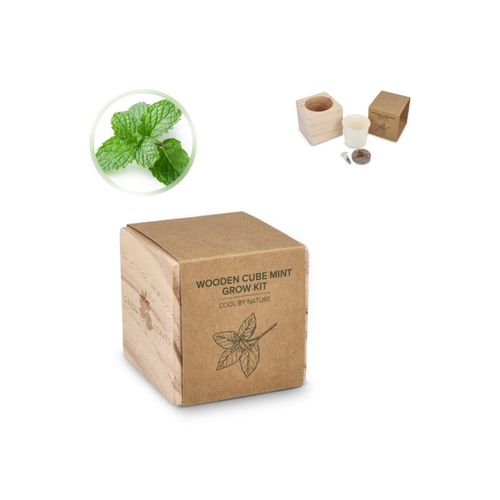 Ensemble de jardinières en bois FSC – Menthe - 1