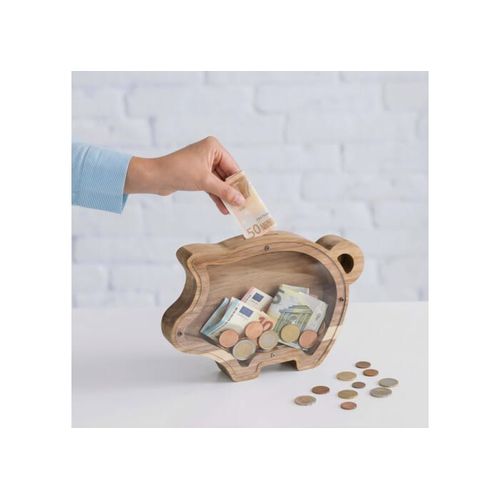 PennyVista Sparschwein