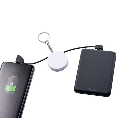 2 in 1 Cable de charge REEVES-EVERETTE II - 8