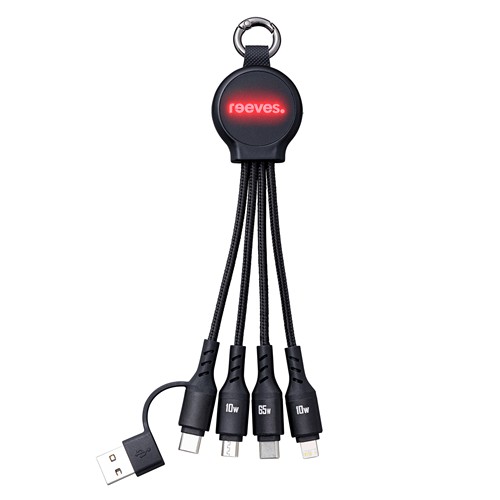 Câble de Charge 6 en 1 avec Lumière REEVES-PUHALANI SWITCH - 3