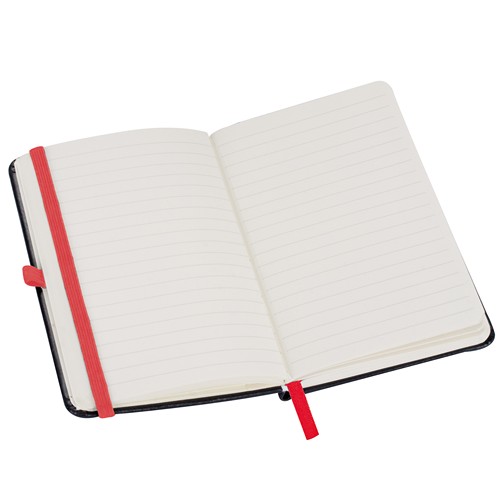 Carnet de 160 pages lignées ALEX - 2