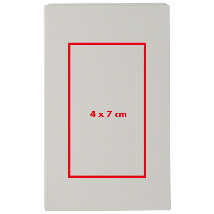 Chargeur 2200 mAh REGINA - 3