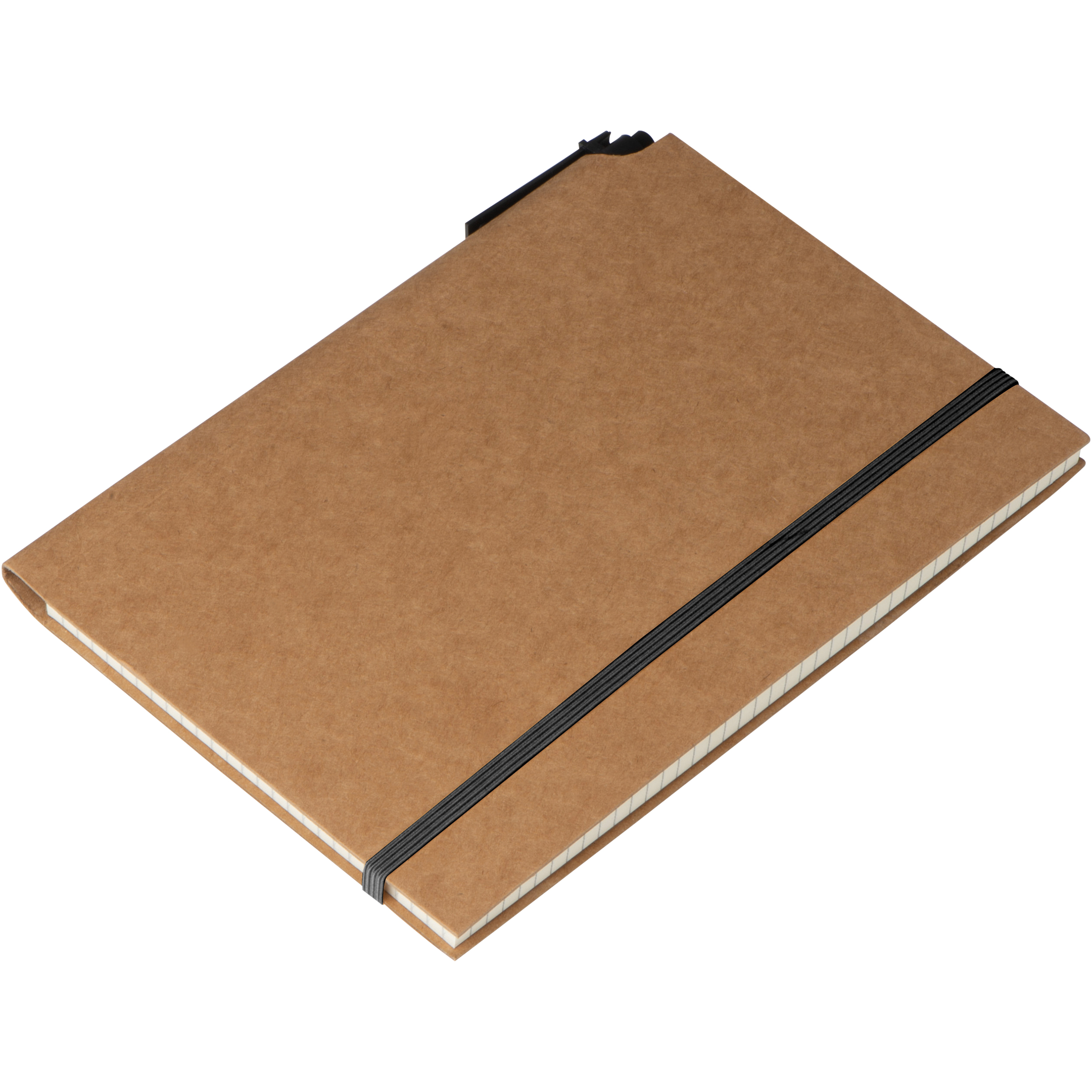 Carnet taille L FELIX - 2