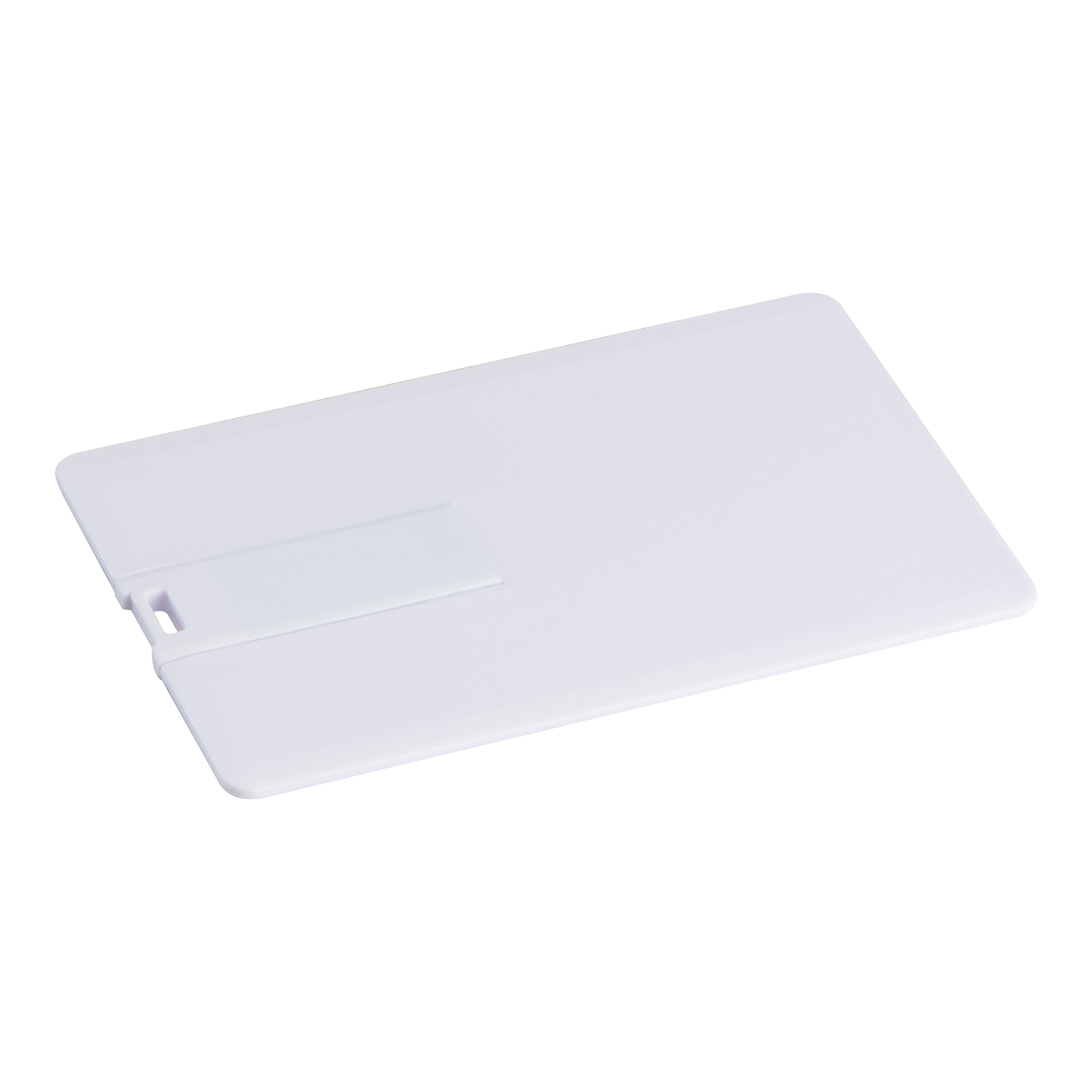 Carte USB 8 GO LEONA - 2