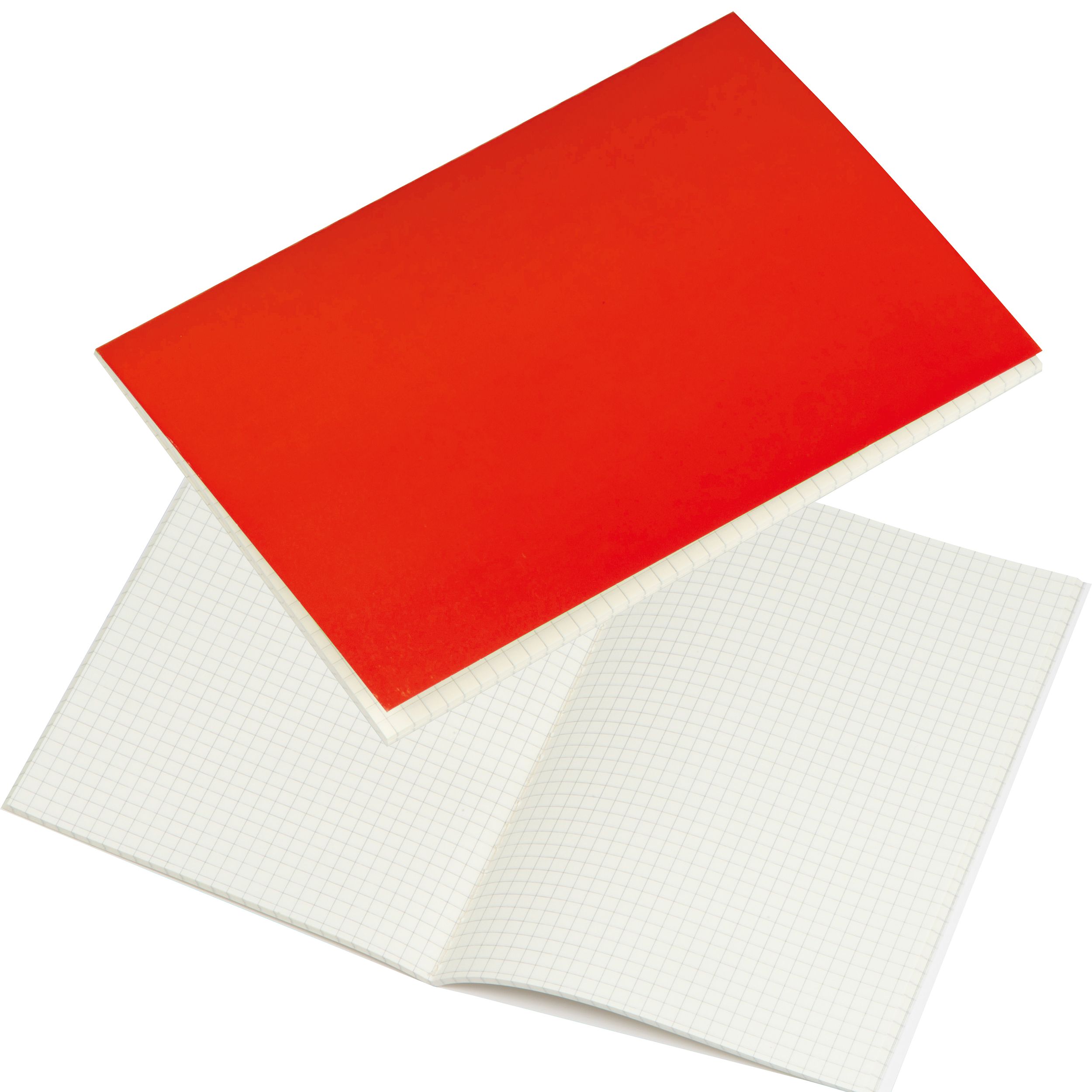 Carnet de notes avec feuilles quadrillées SILAS - 1