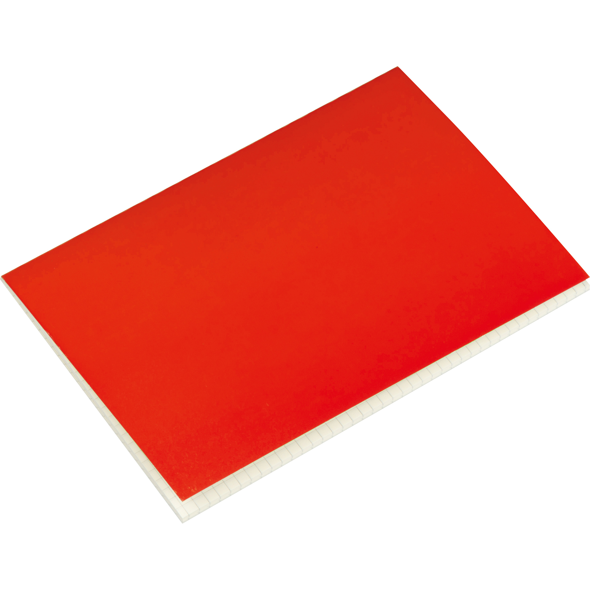 Carnet de notes avec feuilles quadrillées SILAS - 2