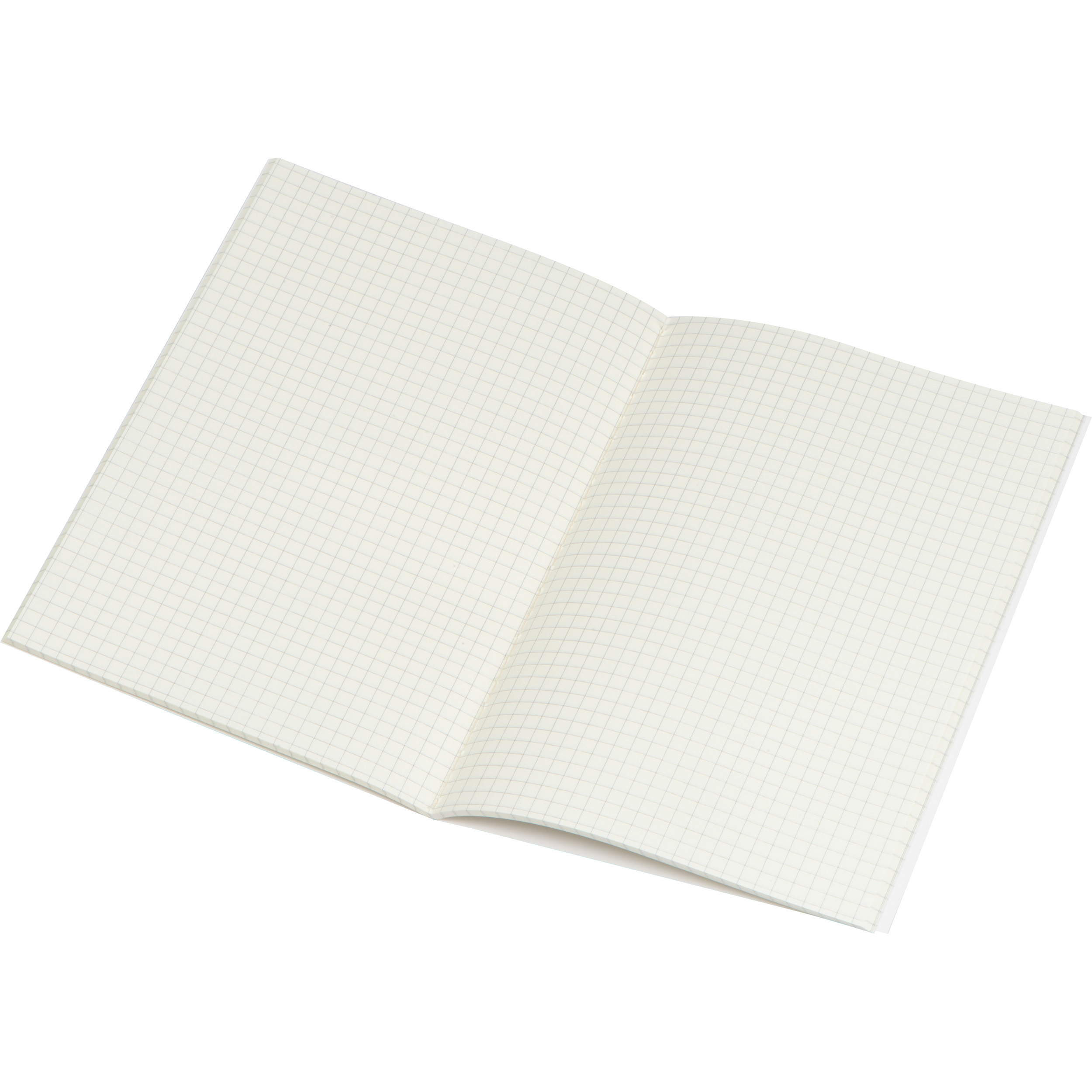 Carnet de notes avec feuilles quadrillées SILAS - 3
