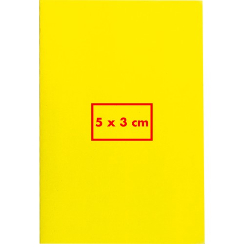 Carnet de notes avec feuilles quadrillées SILAS - 4