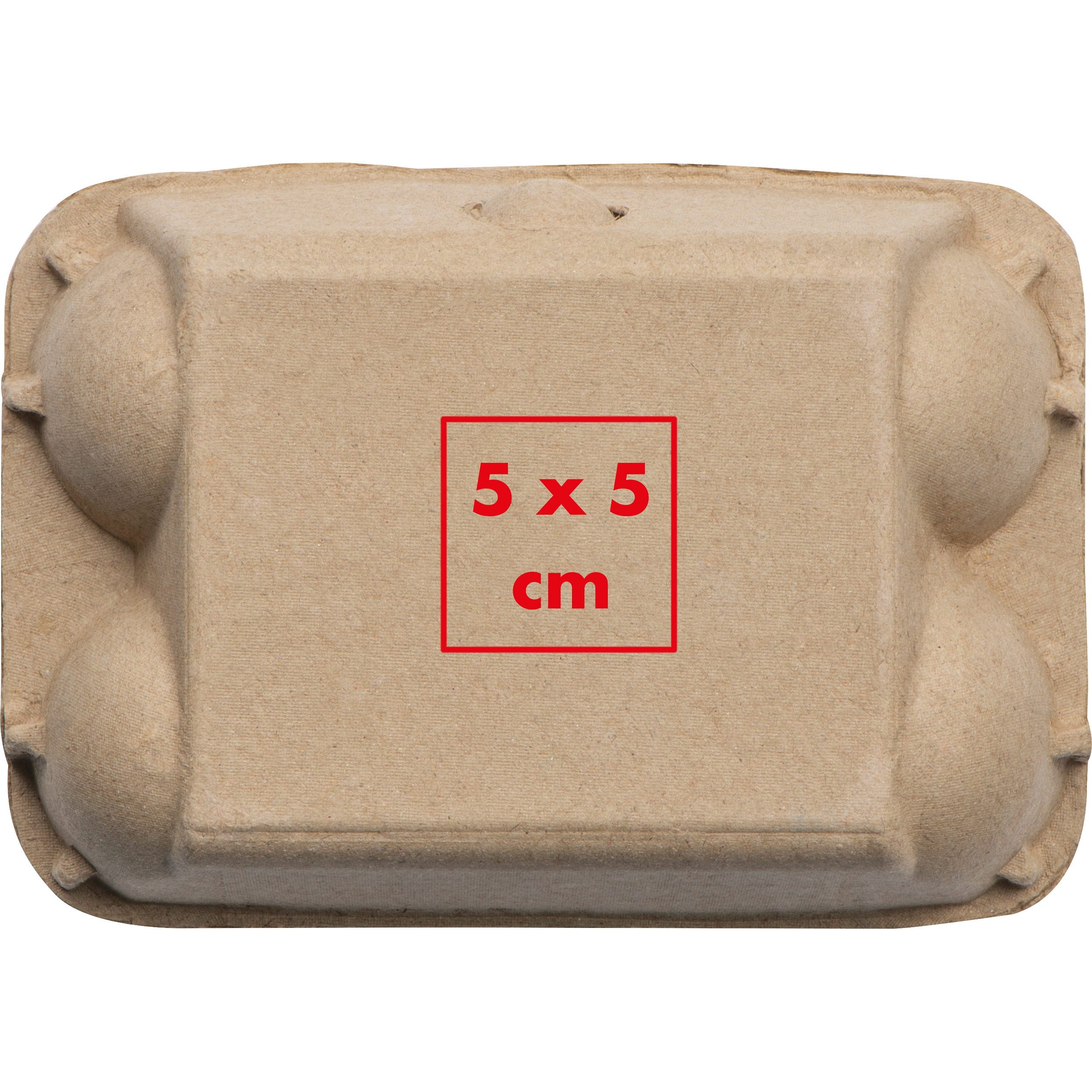 Oeufs en craie dans une boîte en carton GIZELA - 4