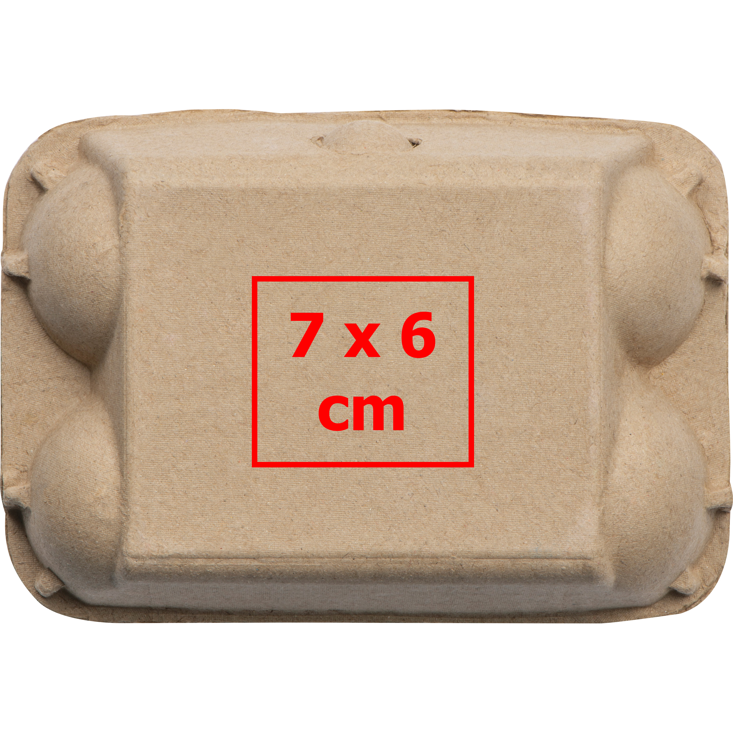 Oeufs en craie dans une boîte en carton GIZELA - 5