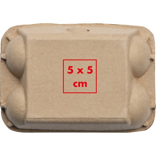 Oeufs en craie dans une boîte en carton GIZELA - 4
