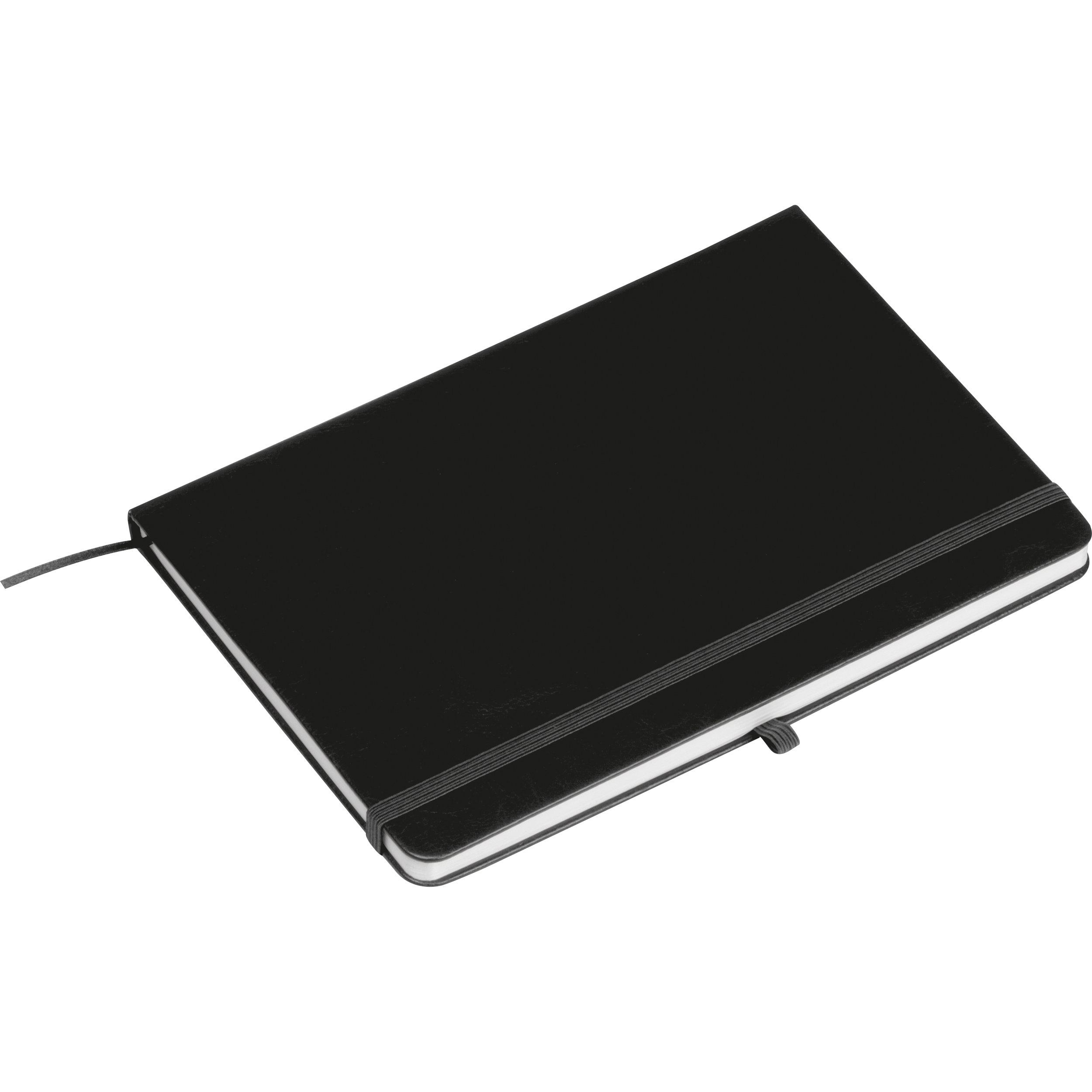 Carnet en RPU CLEO - 2