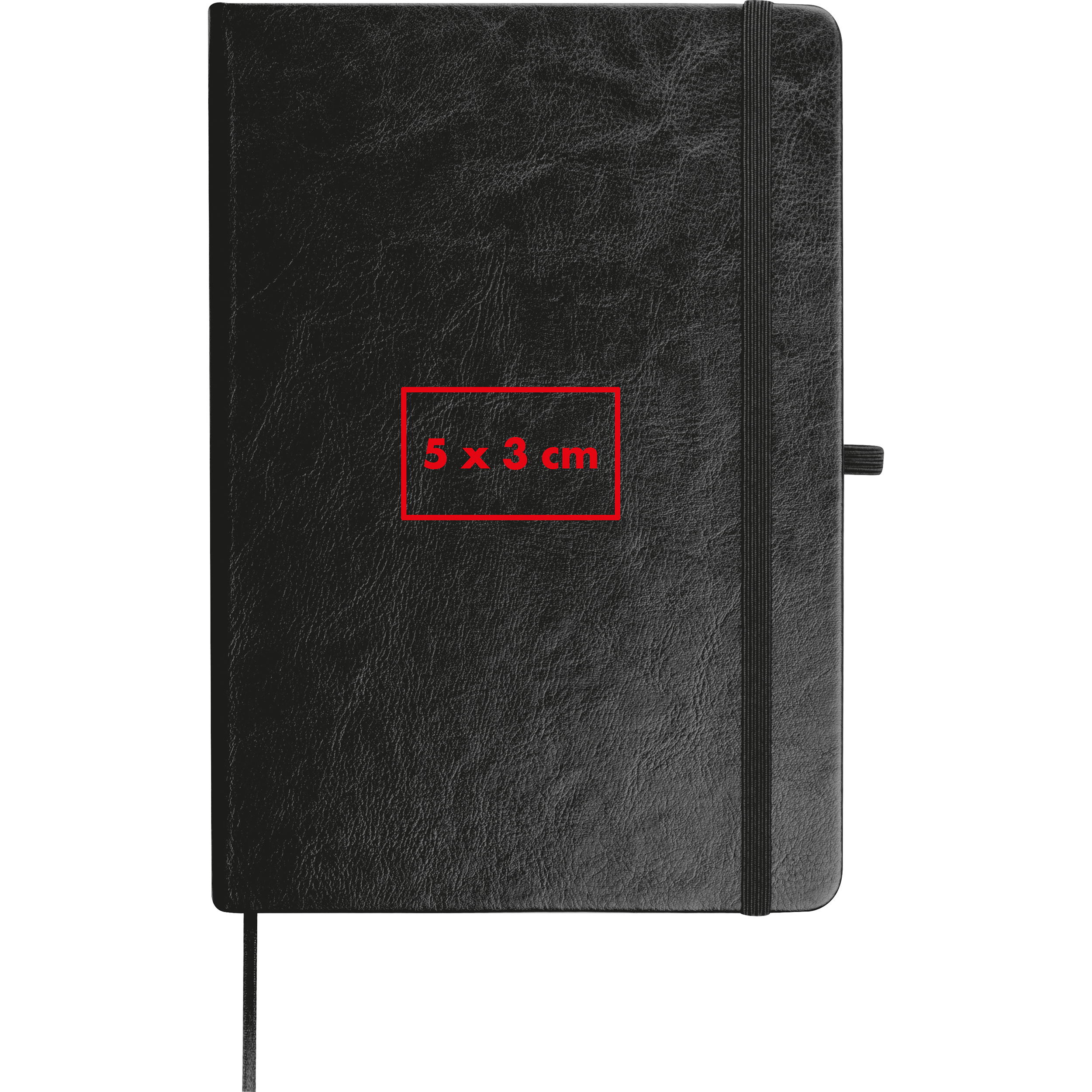 Carnet en RPU CLEO - 4