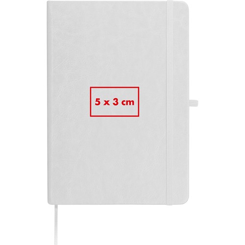 Carnet en RPU CLEO - 4