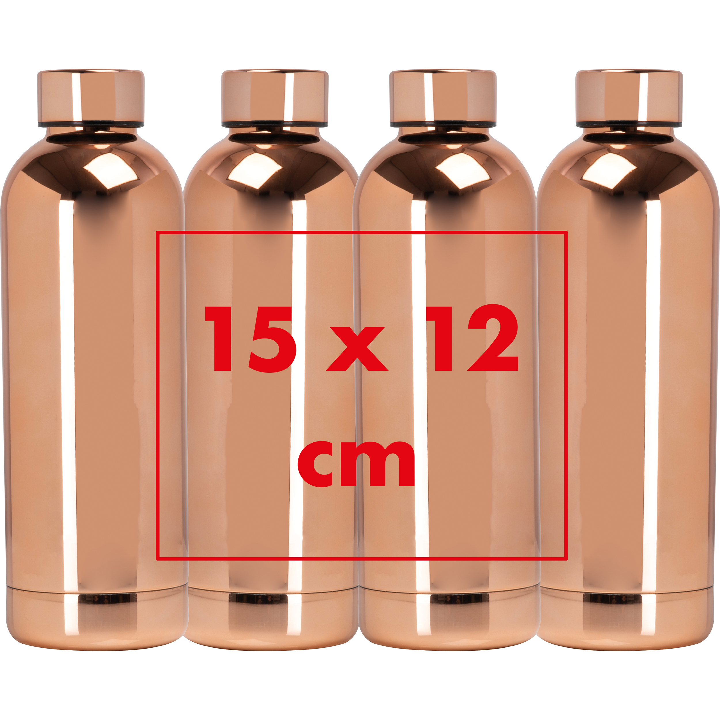 Gourde en acier inoxydable CrisMa SILVIA - 5