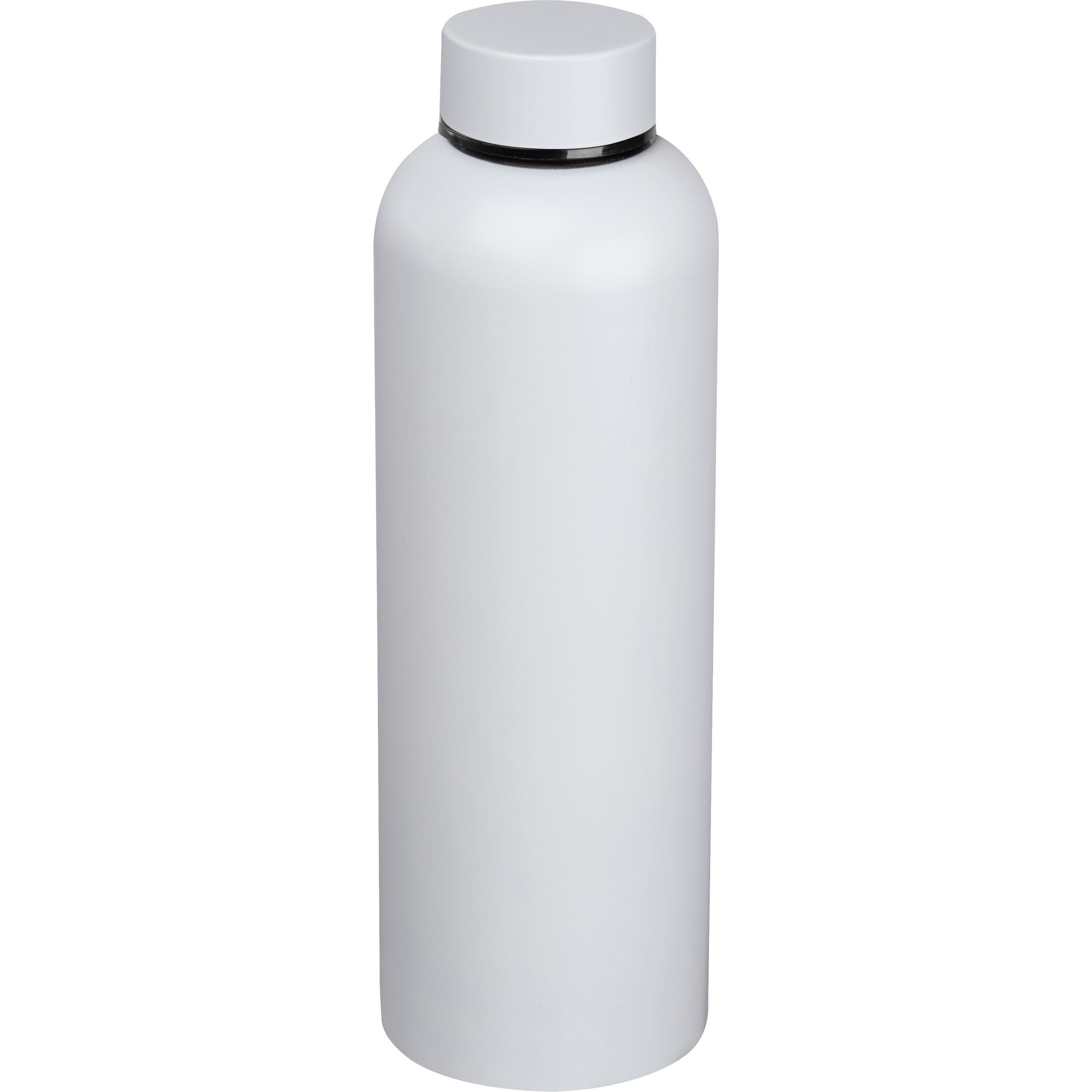 Gourde en acier inoxydable CrisMa VERENA - 1