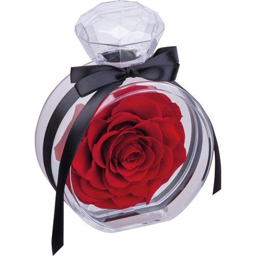 Preserved rose MARCELLA