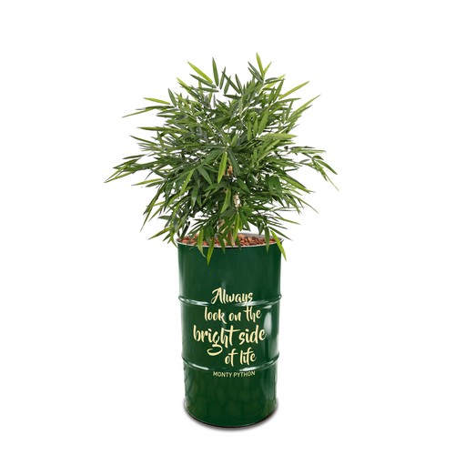 Botanical Barrel Medium RAL | 120 Liter Planter