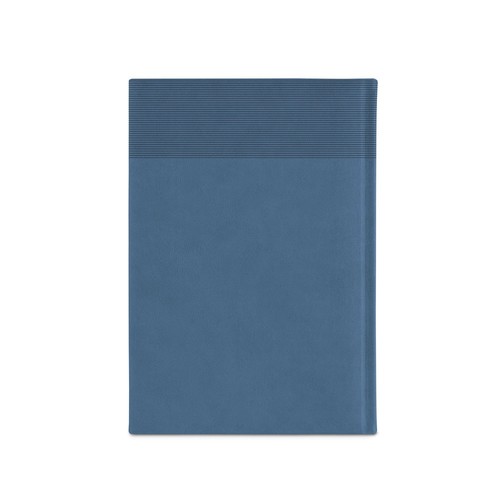 blue CARROLL A5. Agenda A5