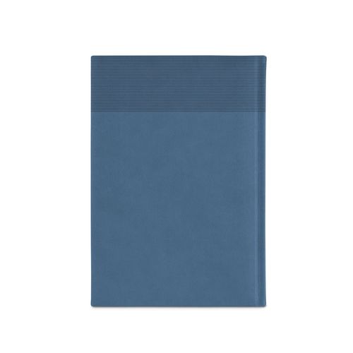 blue CARROLL A5. Agenda A5