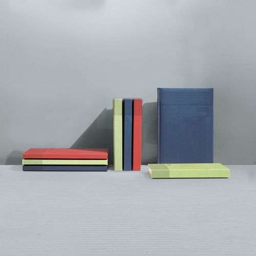 blue CARROLL A5. Agenda A5