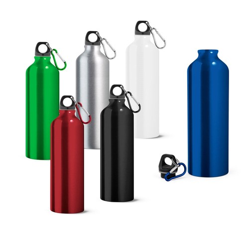 LANDSCAPE L. Bouteille de sport 800mL en aluminium avec mousqueton - 1