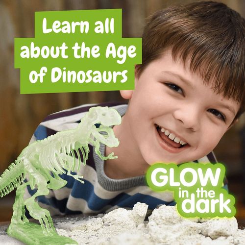 Fossil Excavation Kit I. Juego educativo para niños