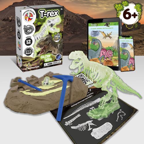 pink Fossil Excavation Kit IV. Juego educativo suministrado con una bolsa de regalo de non woven (80 g/m²)