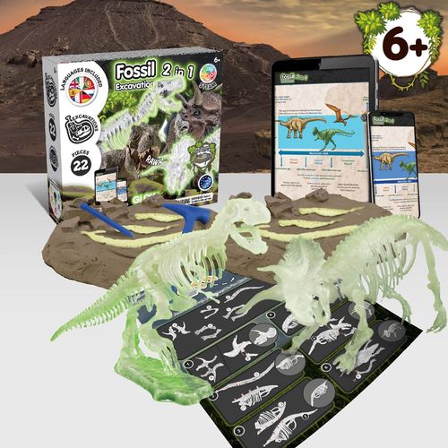 2 in 1 Fossil Excavation Kit III. Juego educativo suministrado con una bolsa de regalo de papel kraft (115 g/m²)