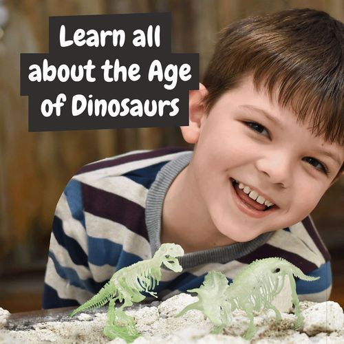 2 in 1 Fossil Excavation Kit V. Jeu éducatif livré avec un sac cadeau pliable en 190T - 8