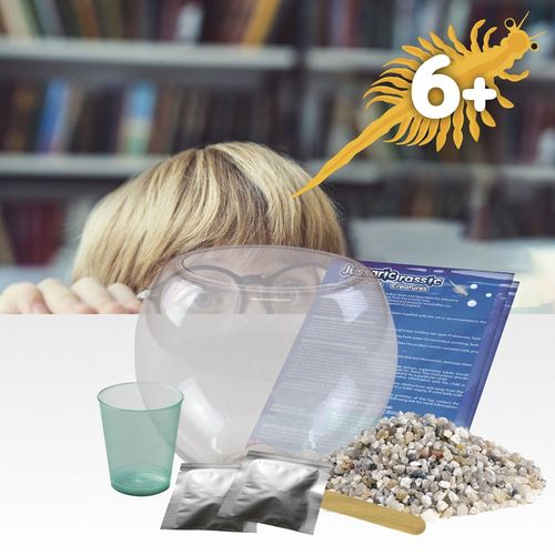 Jurassic Pets Kit I. Juego educativo para niños