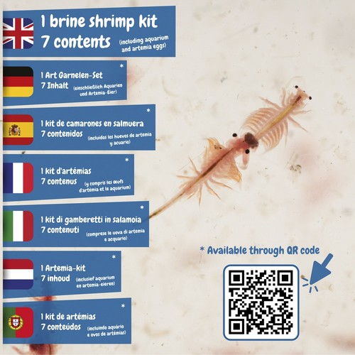 Jurassic Pets Kit I. Jeu éducatif pour enfants
