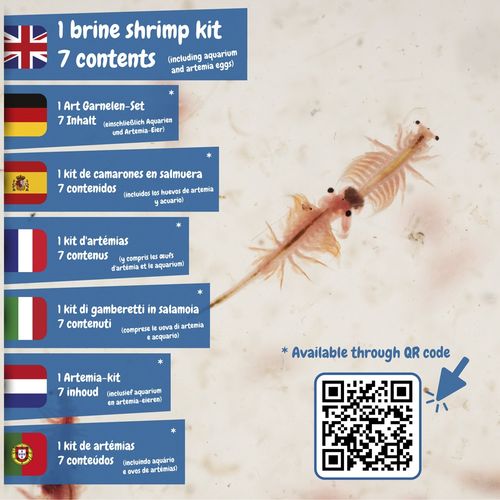 Jurassic Pets Kit II. Juego educativo suministrado con una bolsa de regalo de papel kraft (115 g/m²), fabricado con material certificado FSC™ y otros materiales controlados