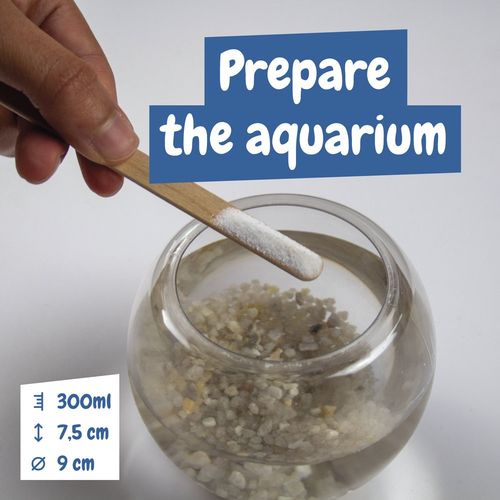 white Jurassic Pets Kit III. Juego educativo suministrado con una bolsa de regalo de papel kraft (90 g/m²)