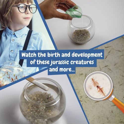 white Jurassic Pets Kit III. Juego educativo suministrado con una bolsa de regalo de papel kraft (90 g/m²)