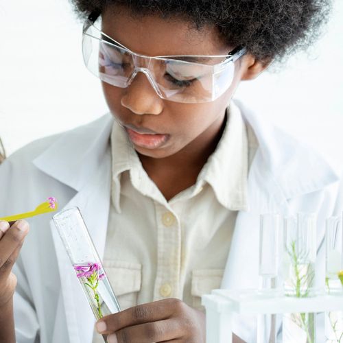 Perfume & Soap Factory Kit I. Juego educativo para niños