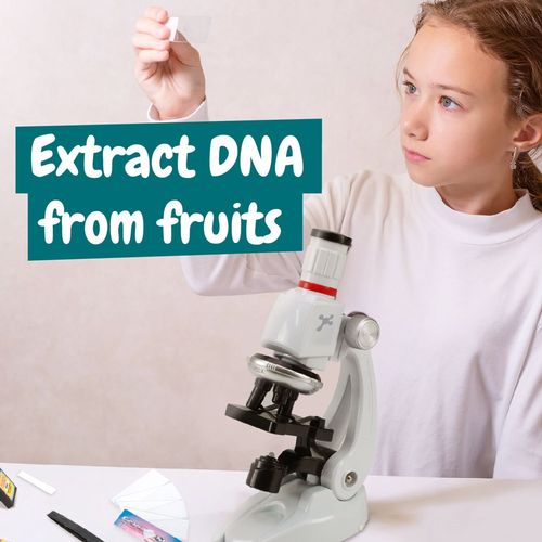 MICROSCOPE. Jeu éducatif pour les enfants - 6