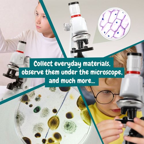 MICROSCOPE. Jeu éducatif pour les enfants - 7